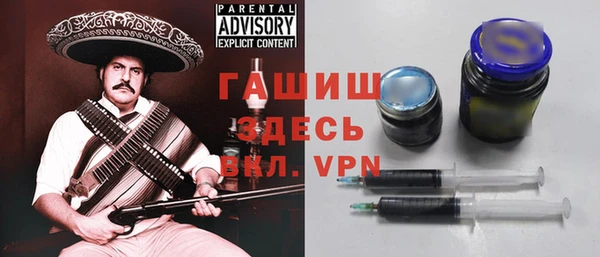 гашик Алексин
